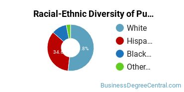 Racial-Ethnic Diversity of Public Relations Majors at Texas State University