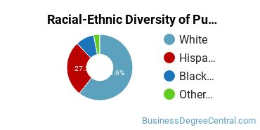 Racial-Ethnic Diversity of Public Relations, Advertising, & Applied Communication Majors at Texas Tech University