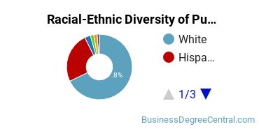 Racial-Ethnic Diversity of Public Relations Majors at Texas Tech University
