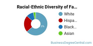 Racial-Ethnic Diversity of Fashion Merchandising Majors at Texas Tech University
