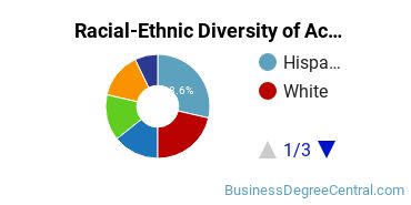 Racial-Ethnic Diversity of Accounting Majors at Texas Wesleyan University