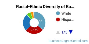 Racial-ethnic diversity of Business Administration & Management majors at Texas Woman's University