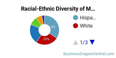 Racial-Ethnic Diversity of Marketing/Marketing Management, General Majors at Texas Woman's University