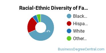 Racial-Ethnic Diversity of Fashion Merchandising Majors at The Art Institute of Houston