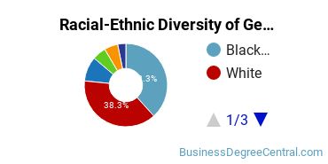 Racial-Ethnic Diversity of General Business/Commerce Majors at Community College of Baltimore County