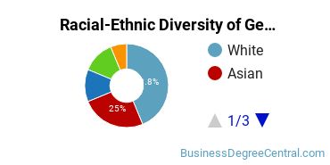 Racial-Ethnic Diversity of General Economics Majors at The New School