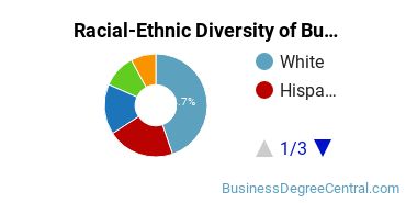 Racial-ethnic diversity of Business Administration & Management majors at Russell Sage College