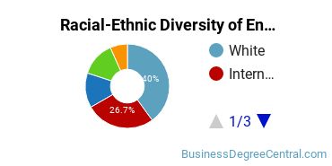 Racial-Ethnic Diversity of Entrepreneurship Majors at The University of Tampa