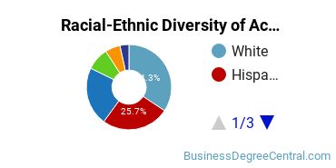 Racial-Ethnic Diversity of Accounting Majors at The University of Texas at Arlington