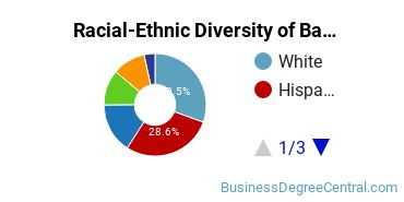 Racial-Ethnic Diversity of Banking and Financial Support Services Majors at The University of Texas at Arlington