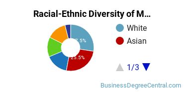 Racial-ethnic diversity of Management Information Systems majors at The University of Texas at Arlington