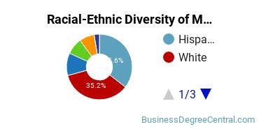 Racial-Ethnic Diversity of Marketing/Marketing Management, General Majors at The University of Texas at Arlington