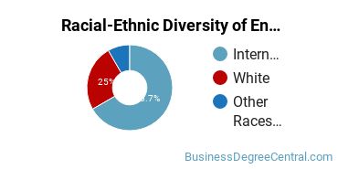 Racial-Ethnic Diversity of Entrepreneurship Majors at The University of Texas at Dallas