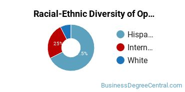 Racial-Ethnic Diversity of Operations Management Majors at The University of Texas at El Paso