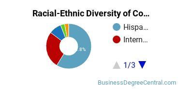 Racial-ethnic diversity of Construction Management majors at The University of Texas at El Paso