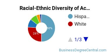 Racial-Ethnic Diversity of Accounting Majors at The University of Texas at San Antonio