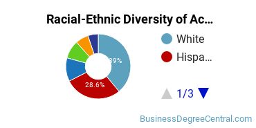 Racial-Ethnic Diversity of Accounting Majors at The University of Texas at San Antonio