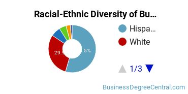 Racial-ethnic diversity of Business Administration & Management majors at The University of Texas at San Antonio