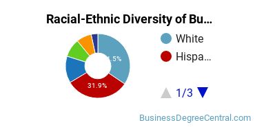 Racial-ethnic diversity of Business Administration & Management majors at The University of Texas at San Antonio