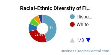 Racial-Ethnic Diversity of Finance Majors at The University of Texas at San Antonio