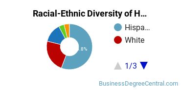 Racial-ethnic diversity of Human Resource Management majors at The University of Texas at San Antonio