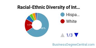 Racial-Ethnic Diversity of International Business/Trade/Commerce Majors at The University of Texas at San Antonio