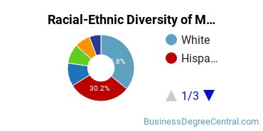 Racial-ethnic diversity of Management Information Systems majors at The University of Texas at San Antonio