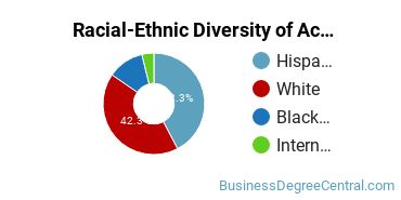 Racial-Ethnic Diversity of Actuarial Science Majors at The University of Texas at San Antonio