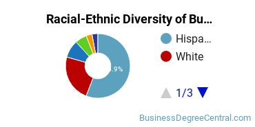 Racial-Ethnic Diversity of Business Economics Majors at The University of Texas at San Antonio