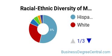 Racial-Ethnic Diversity of Marketing/Marketing Management, General Majors at The University of Texas at San Antonio