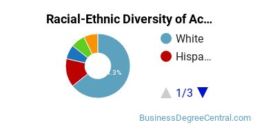 Racial-Ethnic Diversity of Accounting Majors at The University of Texas at Tyler
