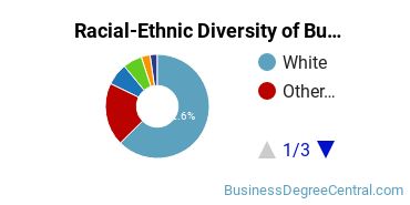 Racial-Ethnic Diversity of Business Administration & Management Majors at Thomas Edison State University