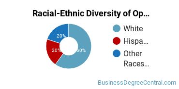 Racial-Ethnic Diversity of Operations Management Majors at Thomas Edison State University