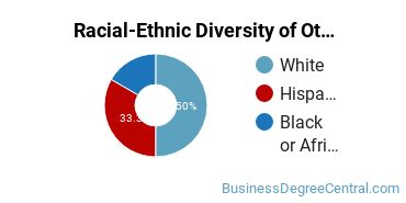 Racial-Ethnic Diversity of Other Business Operations Support and Secretarial Services Majors at Thomas Edison State University
