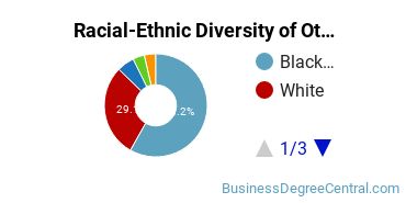 Racial-Ethnic Diversity of Other Business Operations Support and Secretarial Services Majors at Tidewater Community College