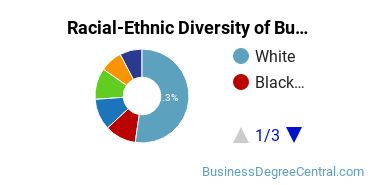 Racial-ethnic diversity of Business Administration & Management majors at Touro University