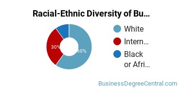 Racial-Ethnic Diversity of Business Economics Majors at Troy University