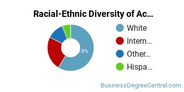 Racial-Ethnic Diversity of Accounting Majors at University of Akron Main Campus
