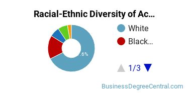 Racial-Ethnic Diversity of Accounting Majors at University of Alabama at Birmingham