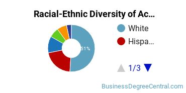 Racial-Ethnic Diversity of Accounting Majors at University of Arizona