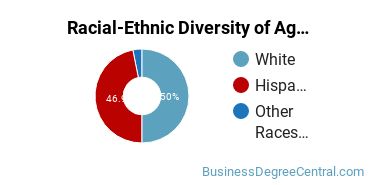 Racial-Ethnic Diversity of Agricultural Business Technology Majors at University of Arizona