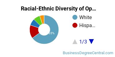 Racial-Ethnic Diversity of Operations Management Majors at University of Arizona