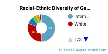 Racial-Ethnic Diversity of General Economics Majors at University of Arizona