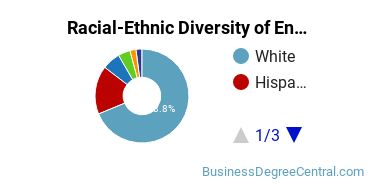 Racial-Ethnic Diversity of Entrepreneurship Majors at University of Arizona