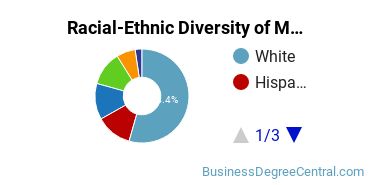 Racial-ethnic diversity of Management Information Systems majors at University of Arizona