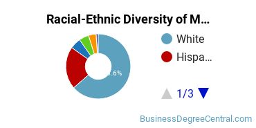 Racial-Ethnic Diversity of Marketing/Marketing Management, General Majors at University of Arizona
