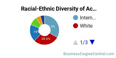 Racial-Ethnic Diversity of Accounting Majors at University of Bridgeport