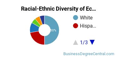 Racial-Ethnic Diversity of Econometrics & Quantitative Economics Majors at University of California - Santa Cruz