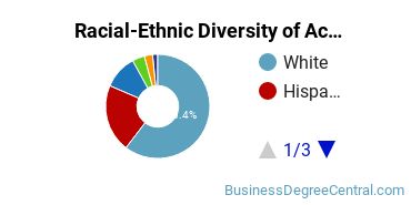 Racial-Ethnic Diversity of Accounting Majors at University of Central Florida