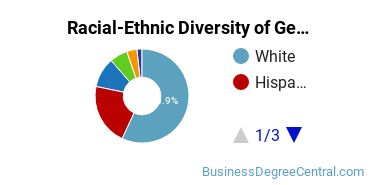 Racial-Ethnic Diversity of General Business/Commerce Majors at University of Central Florida